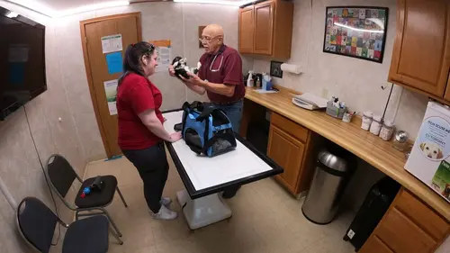 L'incroyable Dr Pol Vacances à Amsterdam