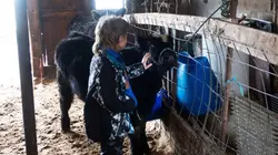 L'incroyable Dr Pol La Grande Athéna