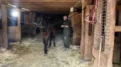 L'incroyable Dr Pol L'incroyable équipe du Dr Pol