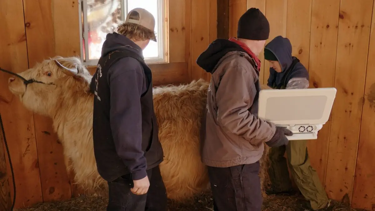 L'incroyable Dr Pol Au pays des rennes