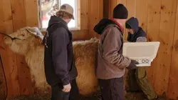 L'incroyable Dr Pol Au pays des rennes