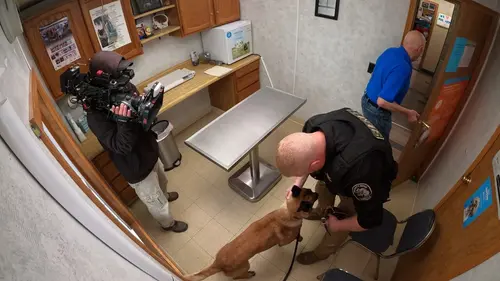 L'incroyable Dr Pol Premier jour en streaming