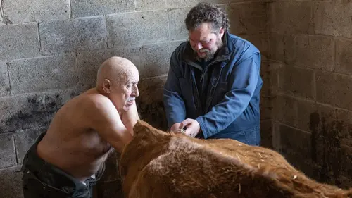 L'incroyable Dr Pol Vêlage en urgence