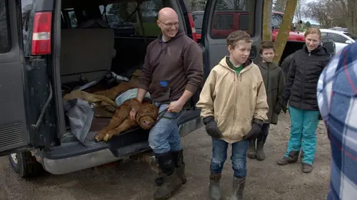 L'incroyable Dr Pol Il était une foire