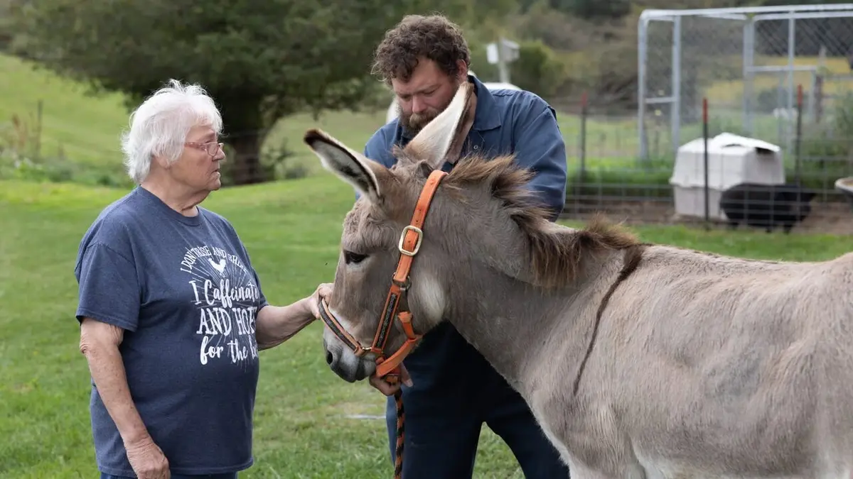 L'incroyable Dr Pol Pol-mobile