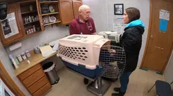 L'incroyable Dr Pol Joyeux Miaouween !