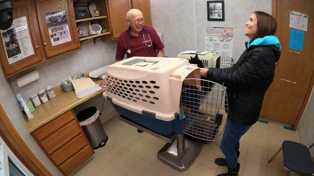 L'incroyable Dr Pol Joyeux Miaouween !