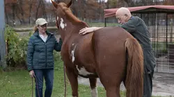 L'incroyable Dr Pol Pol plané