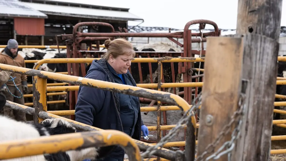 L'incroyable Dr Pol Bagarre et boules de poils