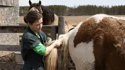 L'incroyable Dr Pol Inspecteur patoune