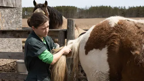 L'incroyable Dr Pol Inspecteur patoune