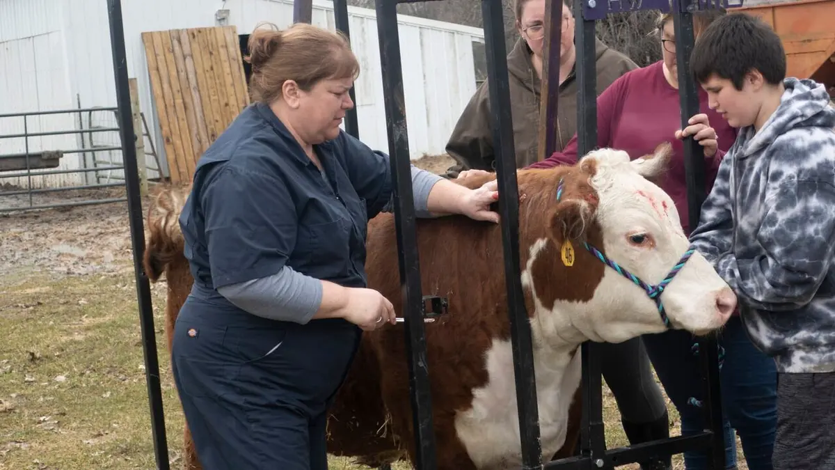 L'incroyable Dr Pol Chaton Lagaffe