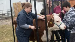 L'incroyable Dr Pol Chaton Lagaffe