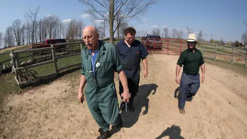 L'incroyable Dr Pol Tout peut arriver