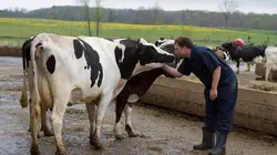 Sur Equidia Life à 23h40 : L'incroyable Dr Pol