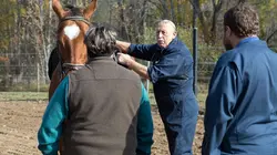 L'incroyable Dr Pol