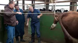 L'incroyable Dr Pol Amour d'automne
