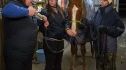 Visuel de L'incroyable Dr Pol