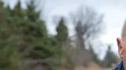 L'incroyable Dr Pol Le temps du printemps