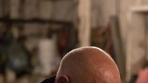 L'incroyable Dr Pol Dure journée