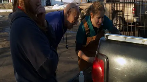 L'incroyable Dr Pol Face à la glace