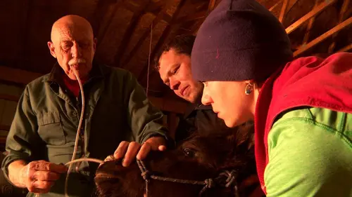 L'incroyable Dr Pol Une histoire de couleurs