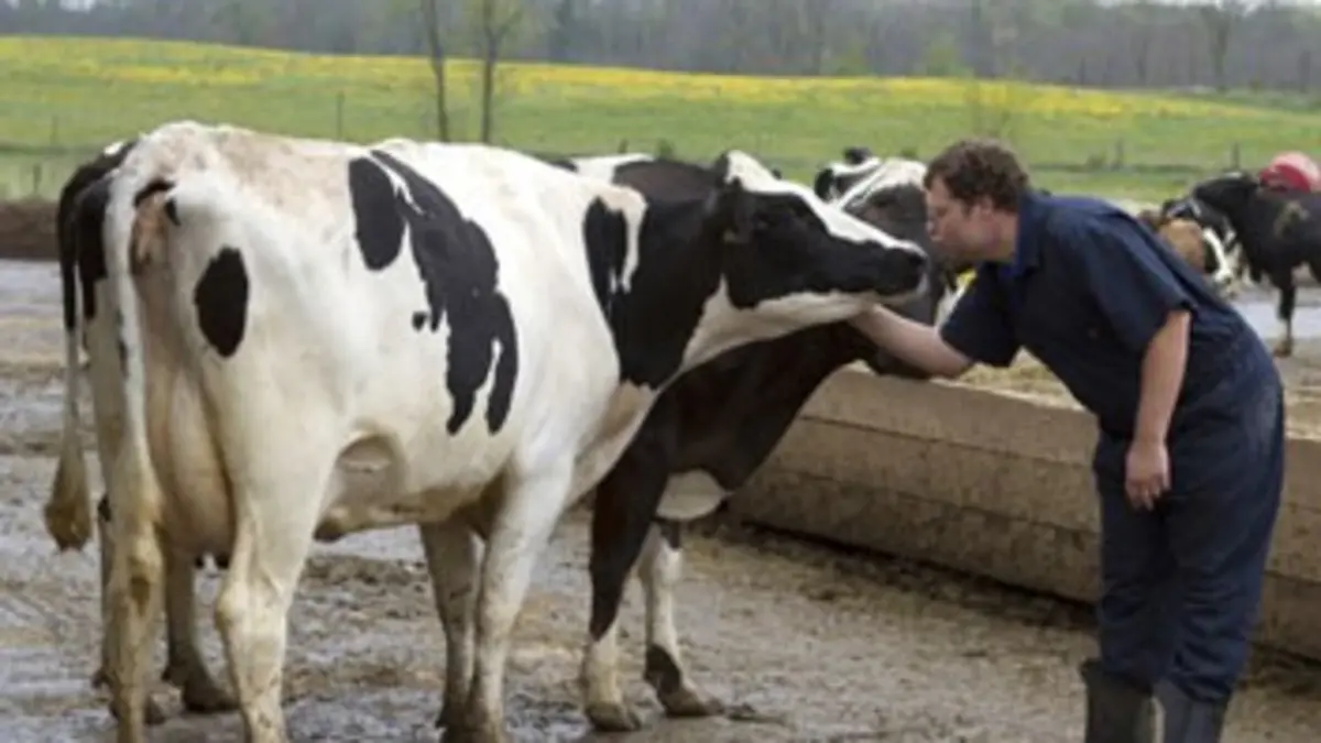 L'incroyable Dr Pol S02E07 Folie de pleine lune