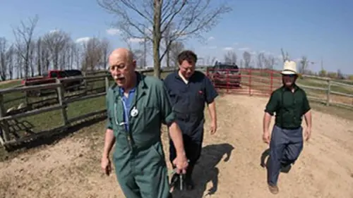 L'incroyable Dr Pol S02E13 Chaud devant