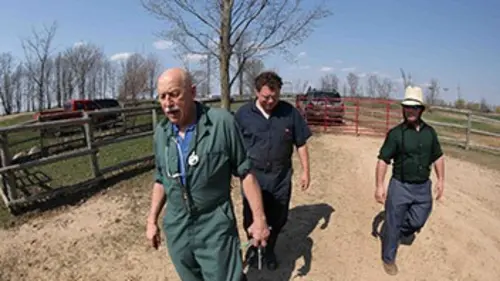L'incroyable Dr Pol S02E02 Tout peut arriver