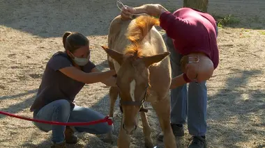 Quoi de neuf docteur ?