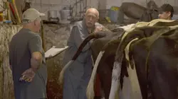 L'incroyable Dr Pol Une compétition acharnée