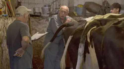 L'incroyable Dr Pol Une compétition acharnée