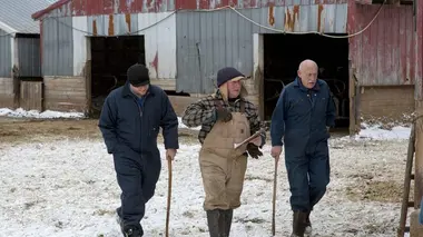 Chérie, il fait froid dehors !