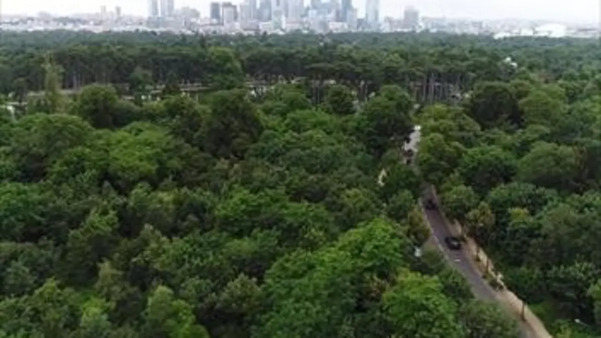 L'incroyable été du Bois de Boulogne