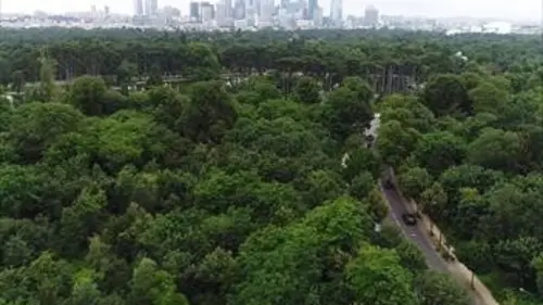 L'incroyable été du Bois de Boulogne