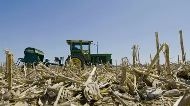 Une ferme est née