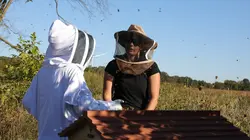 L'Incroyable ferme des Pols L'hiver approche