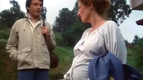 L'incroyable Hulk S01E10 Un bébé