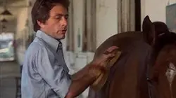 L'incroyable Hulk S02E05 Remède de cheval