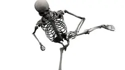 Visuel de L'incroyable machine humaine