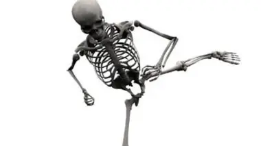 L'incroyable machine humaine