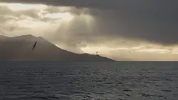 L'incroyable périple de Magellan Le royaume de Magellan