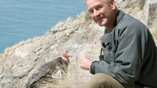 L'incroyable périple des baleines grises S01E02 Une migration bien rodée