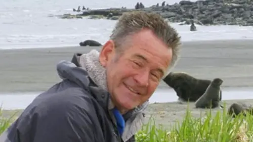 L'incroyable périple des baleines grises