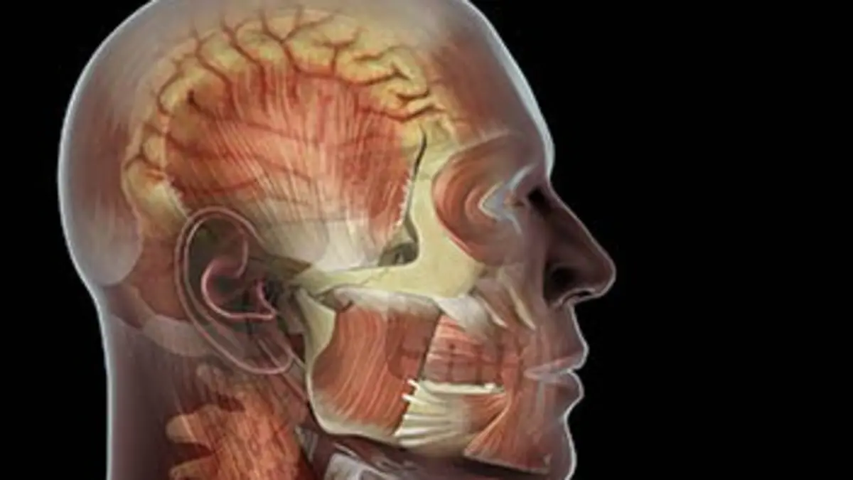 L'incroyable technologie du corps humain