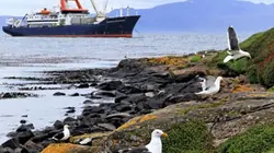 Visuel de L'incroyable voyage