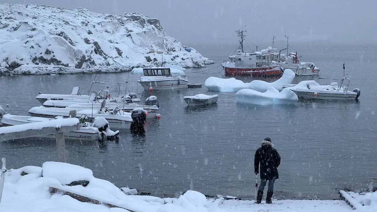 L'incroyable voyage de Polar Kid