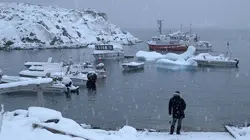 L'incroyable voyage de Polar Kid