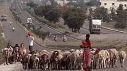 Visuel de L'Inde dans l'objectif