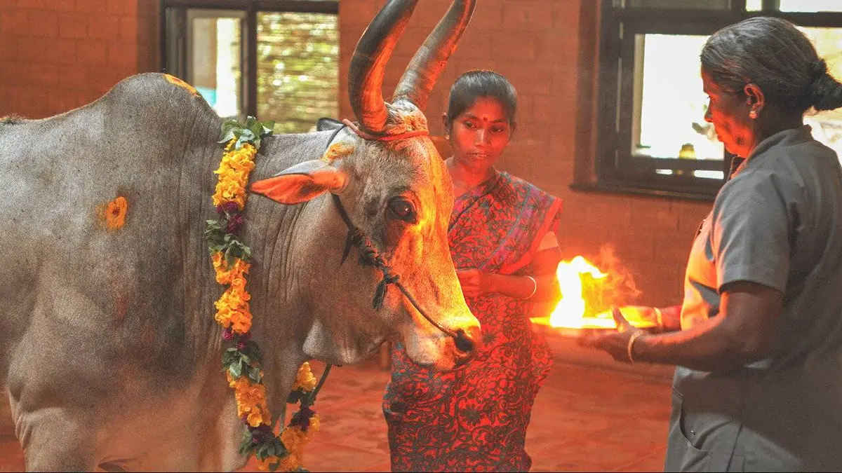 L'Inde, le berceau du yoga - Voyage au coeur de la spiritualité E04 Coimbatore, un esprit sain dans un corps sain